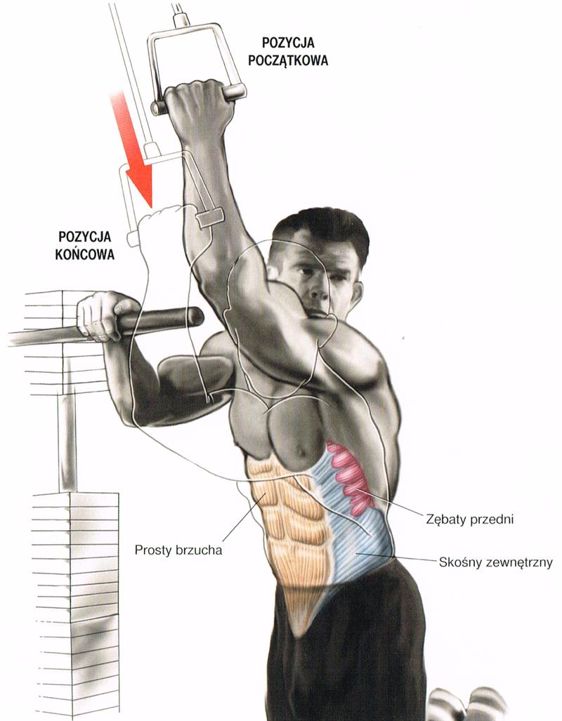 Ćwiczenia na wyciągu górnym
