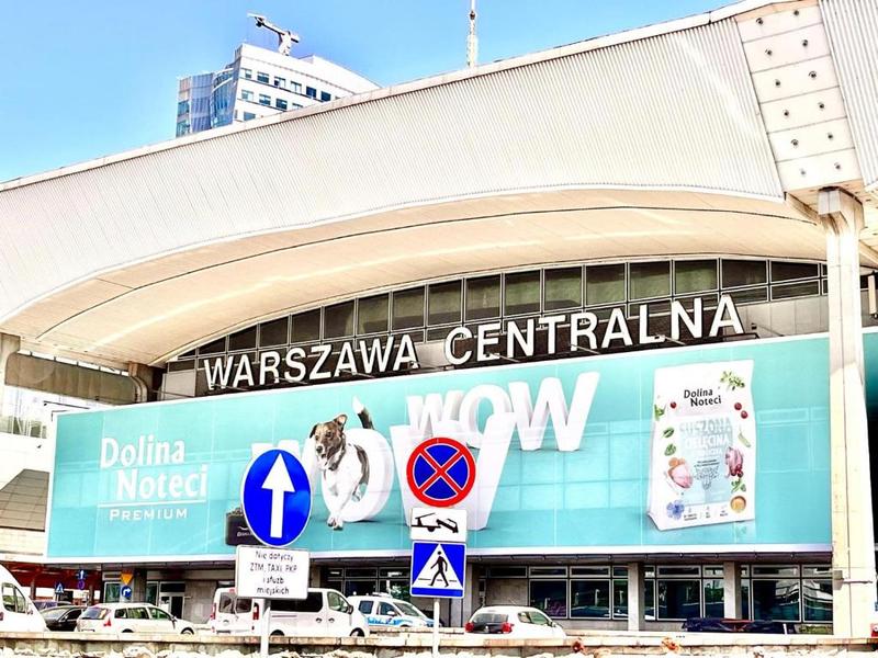 Gdzie znaleźć najlepszą cielęcinę w Warszawie? Oto sprawdzone miejsca i ceny
