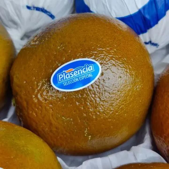 Gdzie kupić czekoladową pomarańczę? Odkryj najlepsze miejsca i oferty!