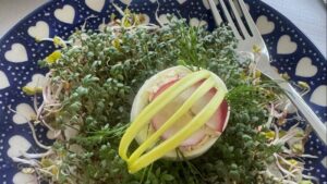 Jajka w pasztecie – odkryj, co powinieneś wiedzieć o składnikach!