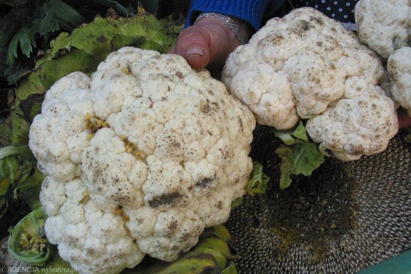 Kalafior w diecie odchudzającej