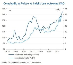 Ceny wołowiny, które mogą Cię zaskoczyć – ile naprawdę kosztuje to mięso?