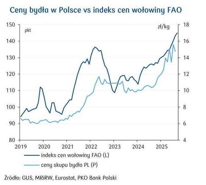 Ceny wołowiny, które mogą Cię zaskoczyć – ile naprawdę kosztuje to mięso?